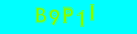 Blue Captcha Image